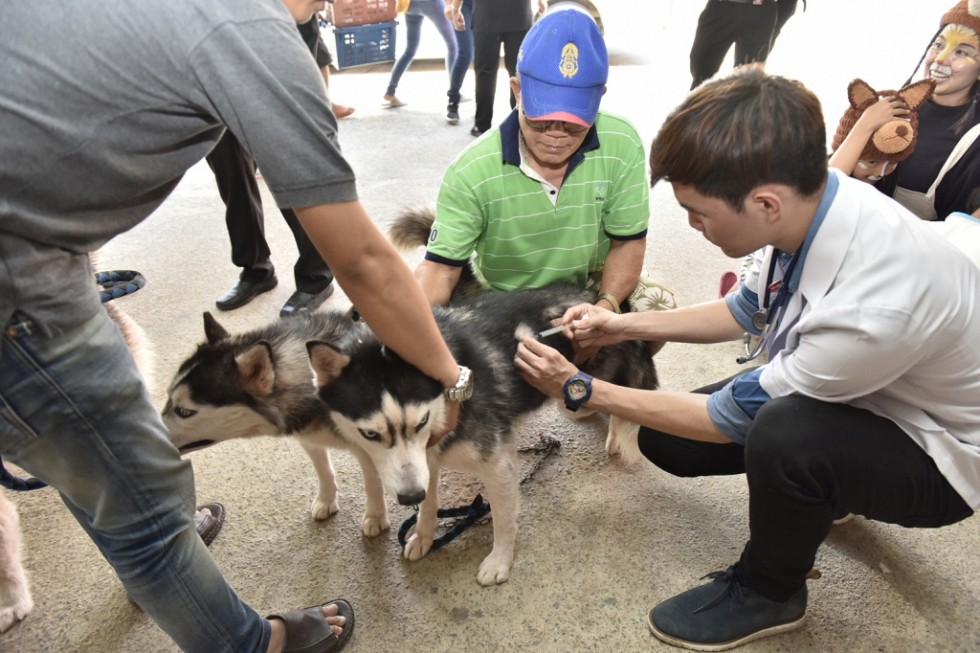 แนวทางการเสริมสร้างความสัมพันธ์ระหว่างมหาวิทยาลัยขอนแก่นและชุมชน (2562)